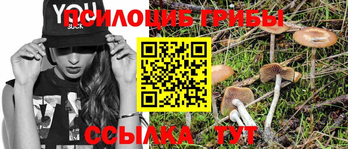 Чусовой  Галлюциногенные грибы Psilocybe  Вход с VPN 